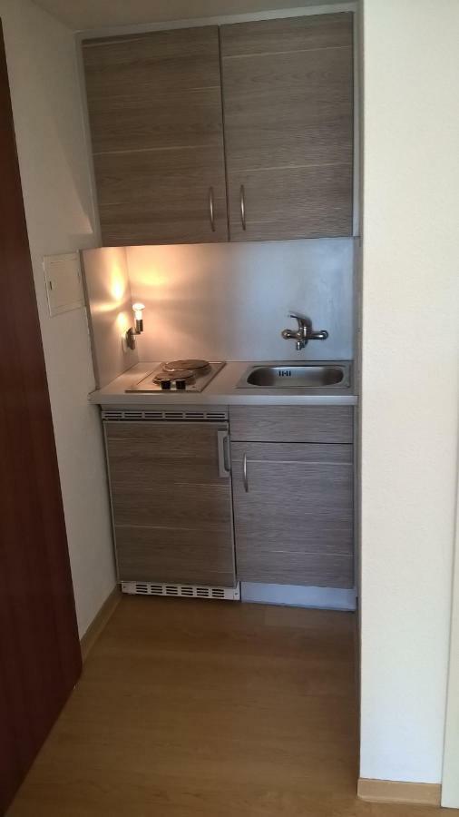 Ferien Apartment Antonie-Haupt-Strasse トリーア エクステリア 写真